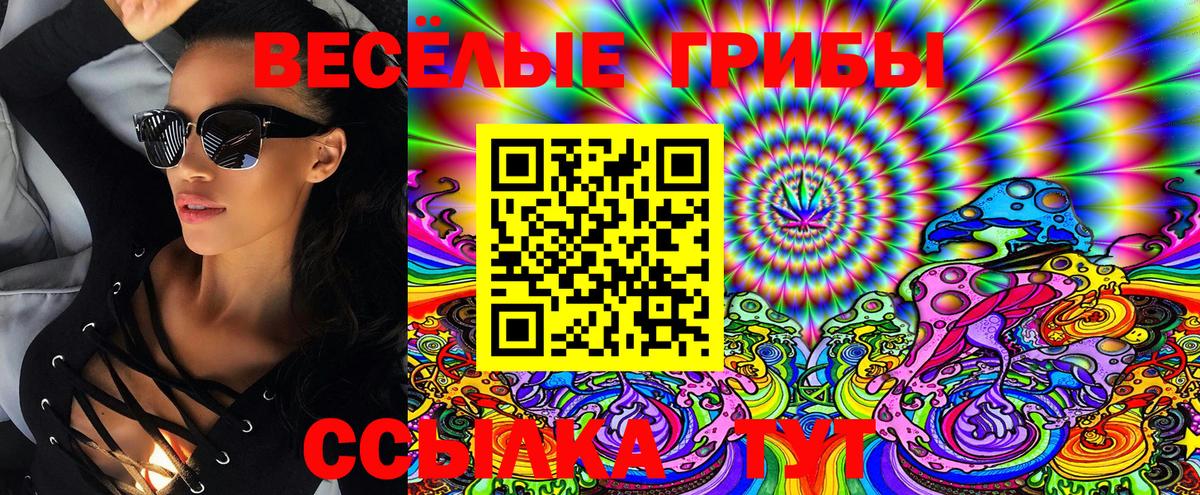 сколько стоит  Вход с VPN  Дятьково  Псилоцибиновые грибы Magic Shrooms 