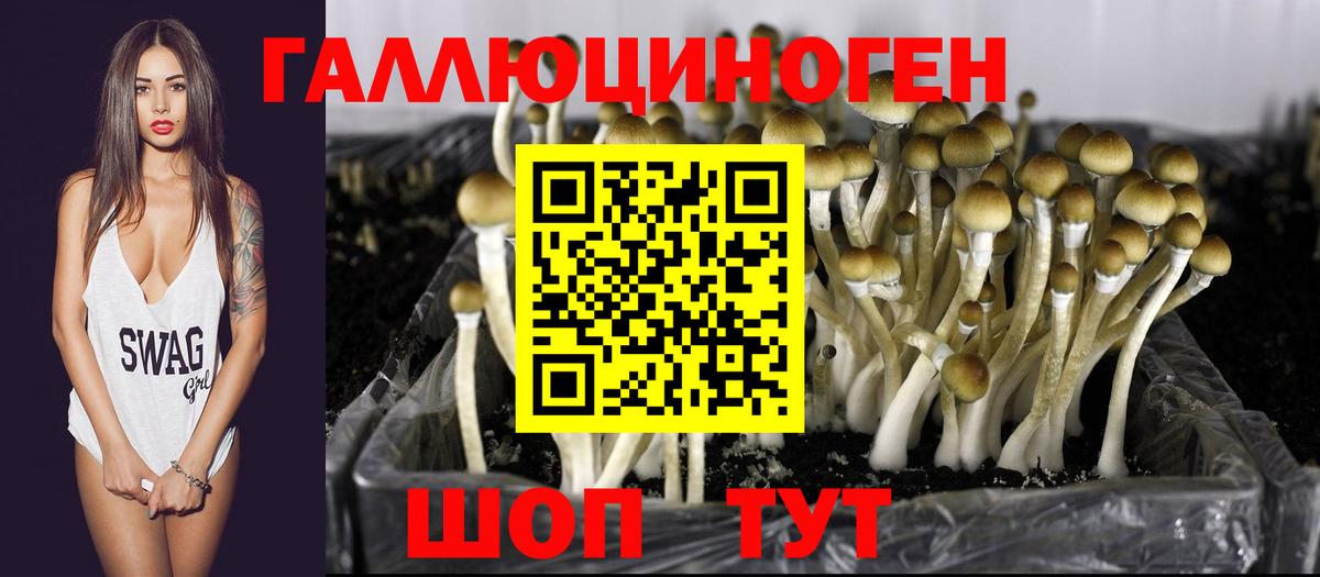 Псилоцибиновые грибы ЛСД Дятьково